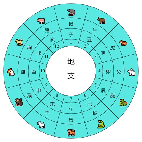 天干地支時間|天干地支對照簡表